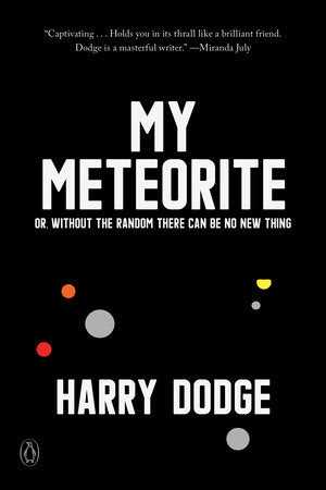 My Meteorite Paperback by Harry Dodge