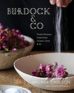 Burdock & Co Hardcover by Andrea Carlson