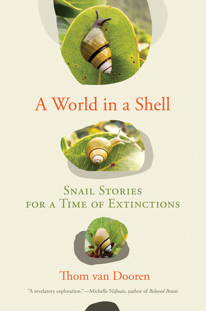 A World in a Shell: Snail Stories for a Time of Extinctions Hardcover by Thom van Dooren