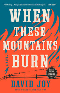 When These Mountains Burn Paperback by David Joy