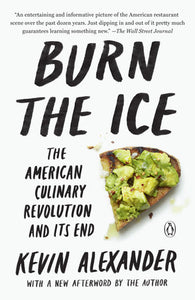 Burn the Ice Paperback by Kevin Alexander