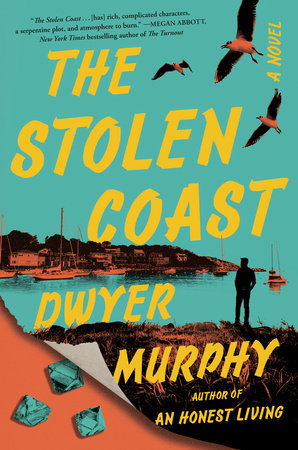 The Stolen Coast: A Novel Hardcover by Dwyer Murphy