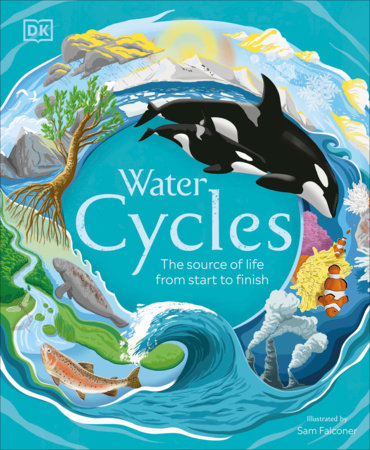 Water Cycles Hardcover by Sam Falconer