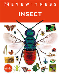 Eyewitness Insect Hardcover by DK