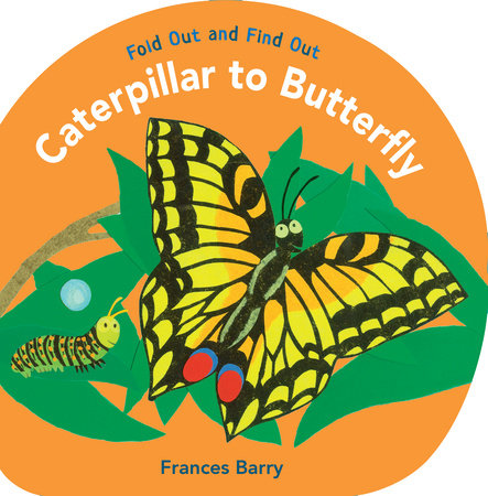 Caterpillar to Butterfly: Fold Out and Find Out Hardcover by Frances Barry; Illustrated by Frances Barry