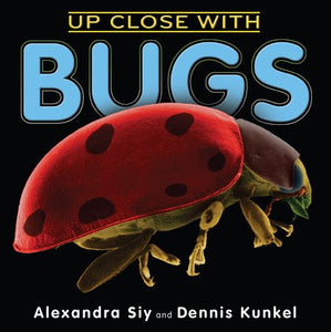 Up Close With Bugs Paperback by Alexandra Siy