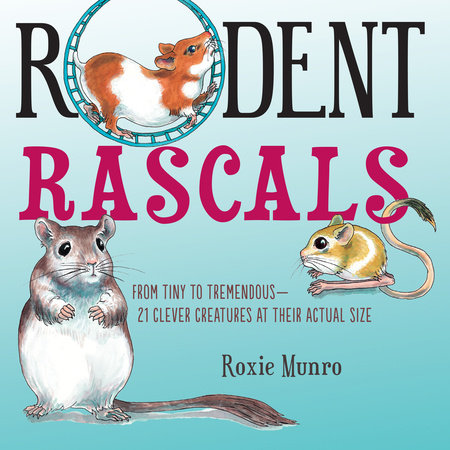 Rodent Rascals Paperback by Written & illustrated by Roxie Munro