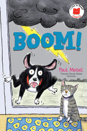 Boom! Hardcover by Paul Meisel