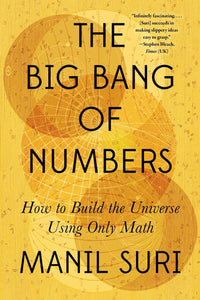 The Big Bang of Numbers Paperback by Manil Suri