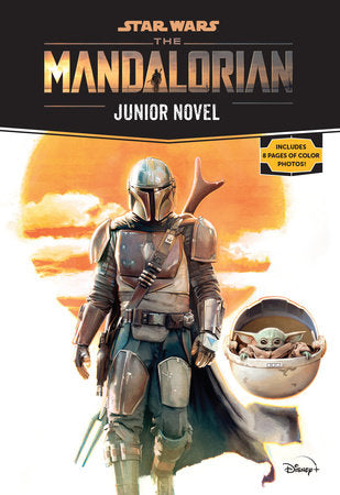 Star Wars: The Mandalorian Junior Novel Paperback by Joe Schreiber