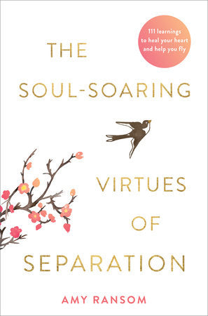 The Soul-Soaring Virtues of Separation Paperback by Amy Ransom