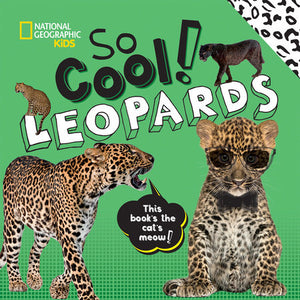 So Cool! Leopards Hardcover by Crispin Boyer