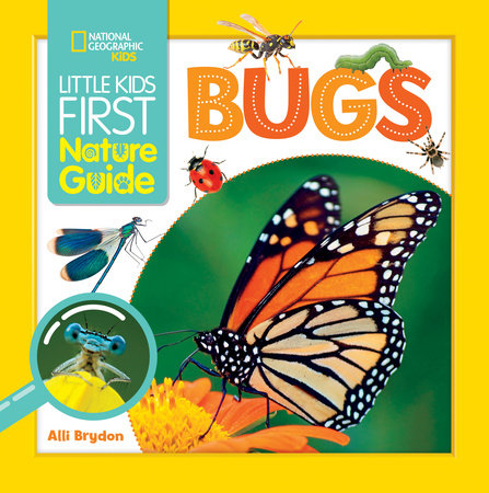 Little Kids First Nature Guide Bugs Paperback by Alli Brydon