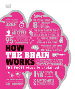 How the Brain Works Hardcover by DK