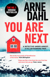 You Are Next Paperback by Arne Dahl