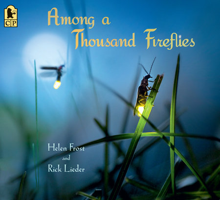 Among a Thousand Fireflies Paperback by Helen Frost; Illustrated by Rick Lieder