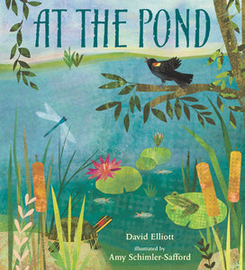 At the Pond Hardcover by David Elliott; Illustrated by Amy Schimler-Safford