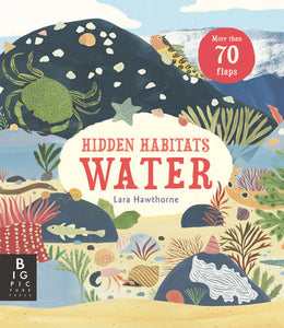 Hidden Habitats: Water Hardcover by Lily Murray; Illustrated by Lara Hawthorne