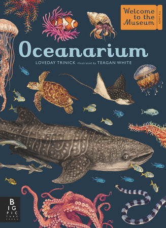 Oceanarium Hardcover by Loveday Trinick; Illustrated by Teagan White