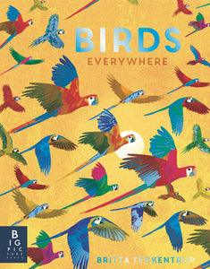 Birds Everywhere Hardcover by Camilla de la Bedoyere