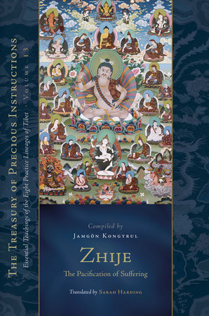 Zhije: The Pacification of Suffering Hardcover by Jamgon Kongtrul Lodro Taye; translated by Sarah Harding