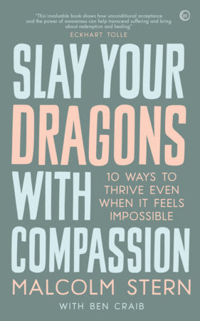 Slay Your Dragons With Compassion Paperback by Malcolm Stern