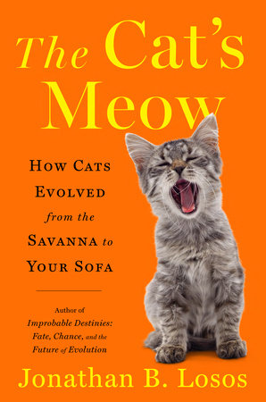 The Cat's Meow: How Cats Evolved from the Savanna to Your Sofa Hardcover by Jonathan B. Losos