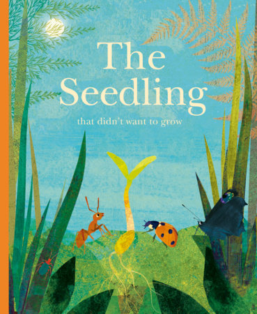 The Seedling That Didn't Want to Grow Hardcover by Britta Teckentrup